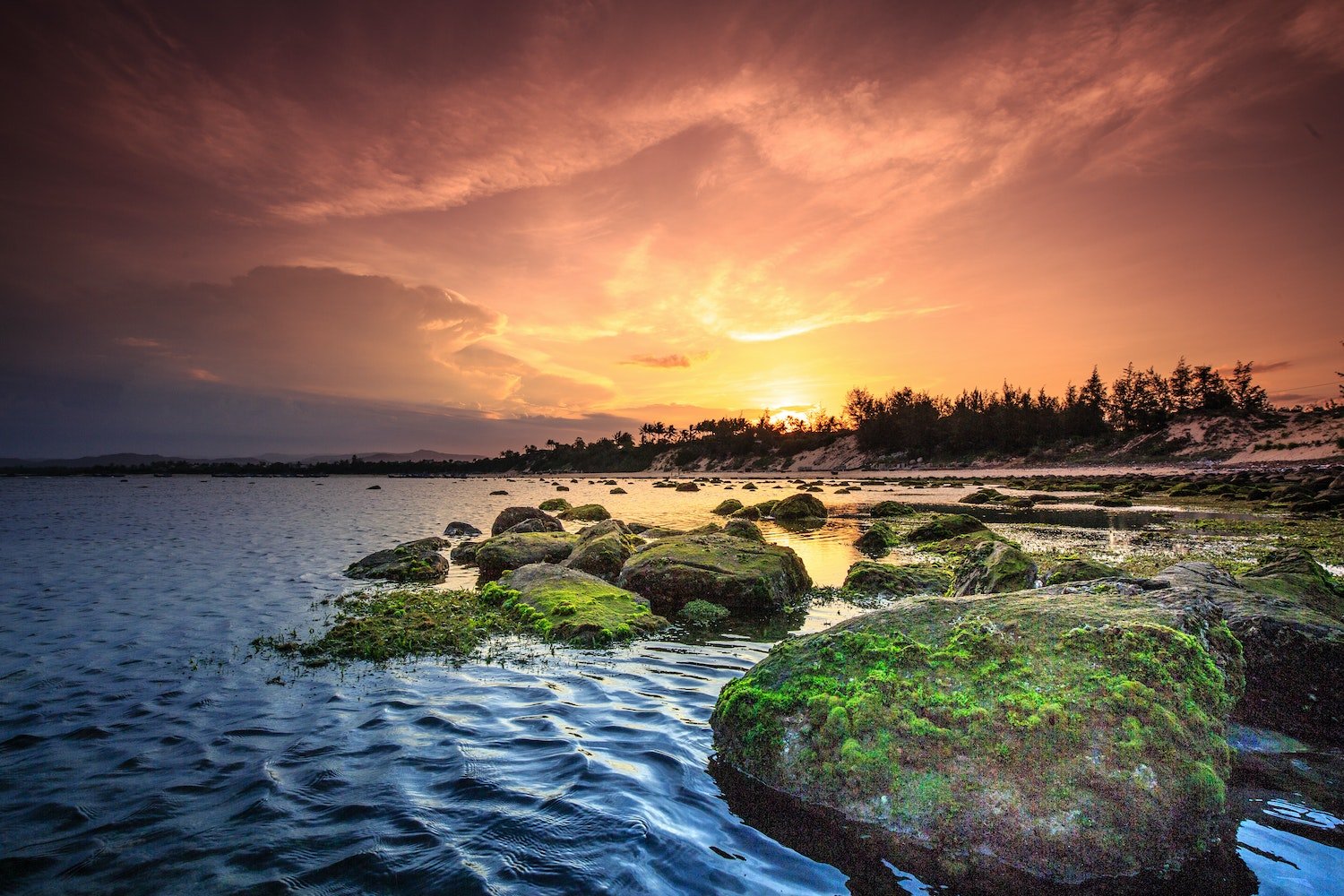 Body of Water and Island